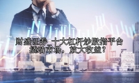 十大杠杆炒股指平台   撬动市场，放大收益？