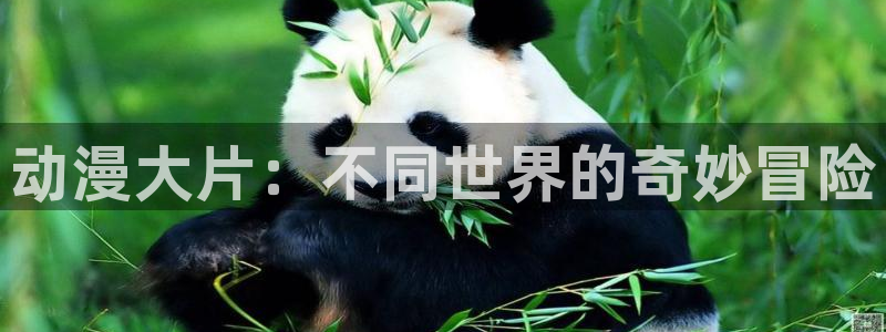 朝戈78动漫短剧：动漫大片：不同世界的奇妙冒险