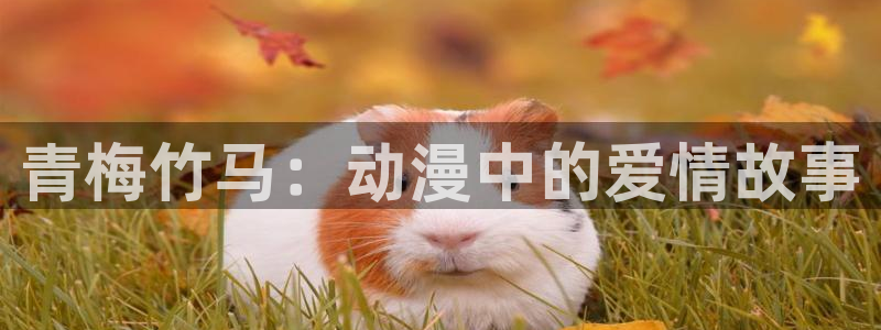 78动漫5.5.6：青梅竹马：动漫中的爱情故事