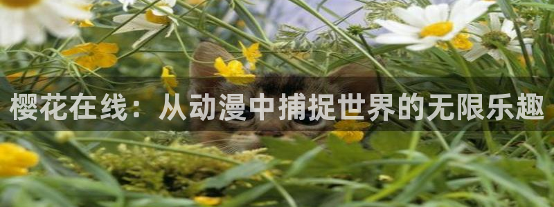 78动漫下载：樱花在线：从动漫中捕捉世界的无限乐趣