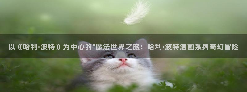 吃78动漫：以《哈利·波特》为中心的\