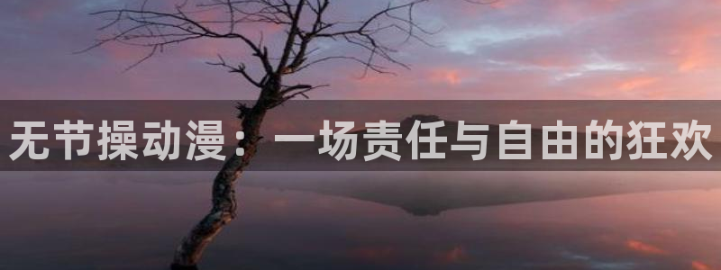 78动漫免费：无节操动漫：一场责任与自由的狂欢