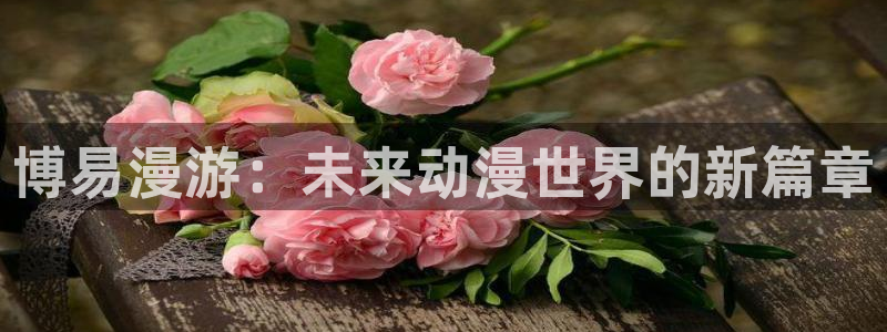 78动漫正版官网入口：博易漫游：未来动漫世界的新篇章